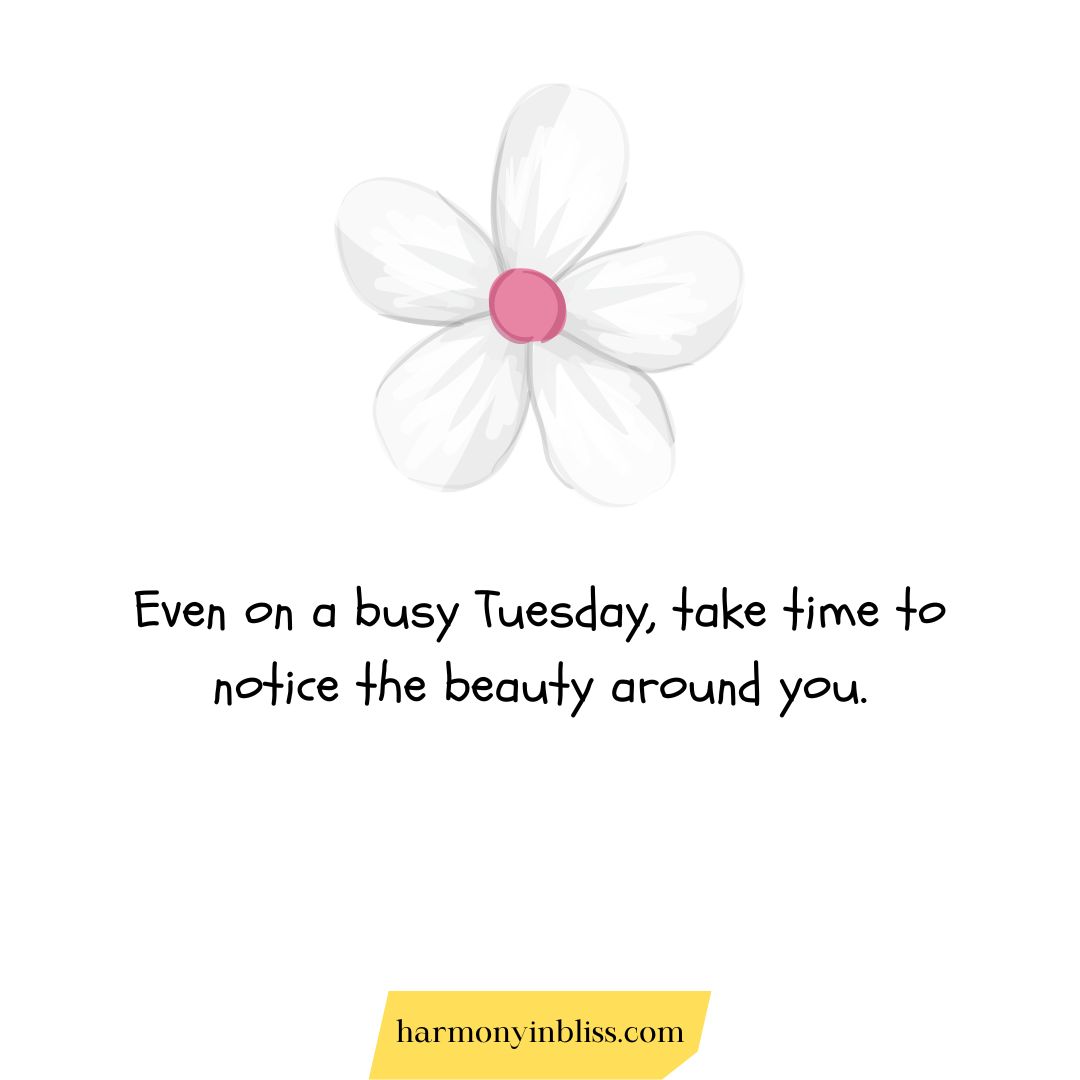 Beautiful Tuesday Quotes