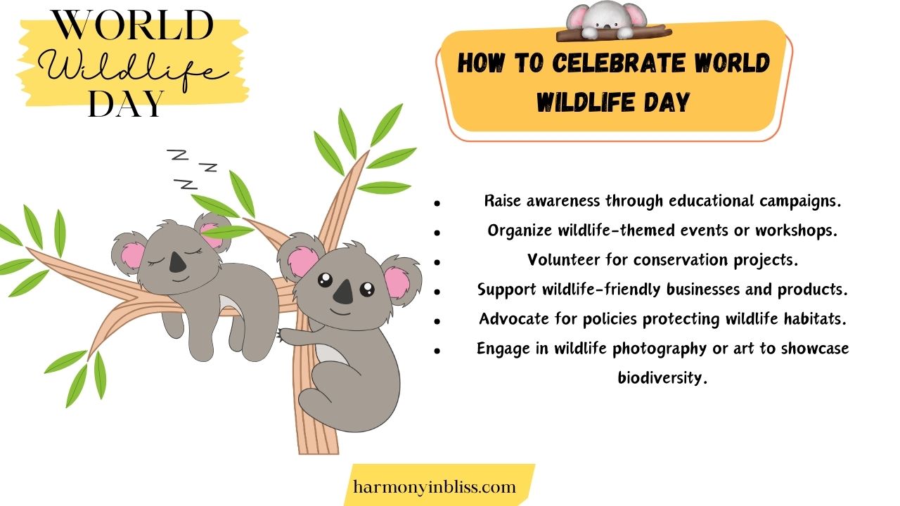 How To Celebrate World Wildlife Day