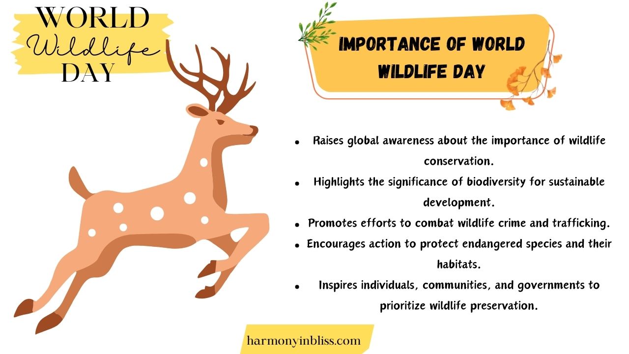 Importance Of World Wildlife Day