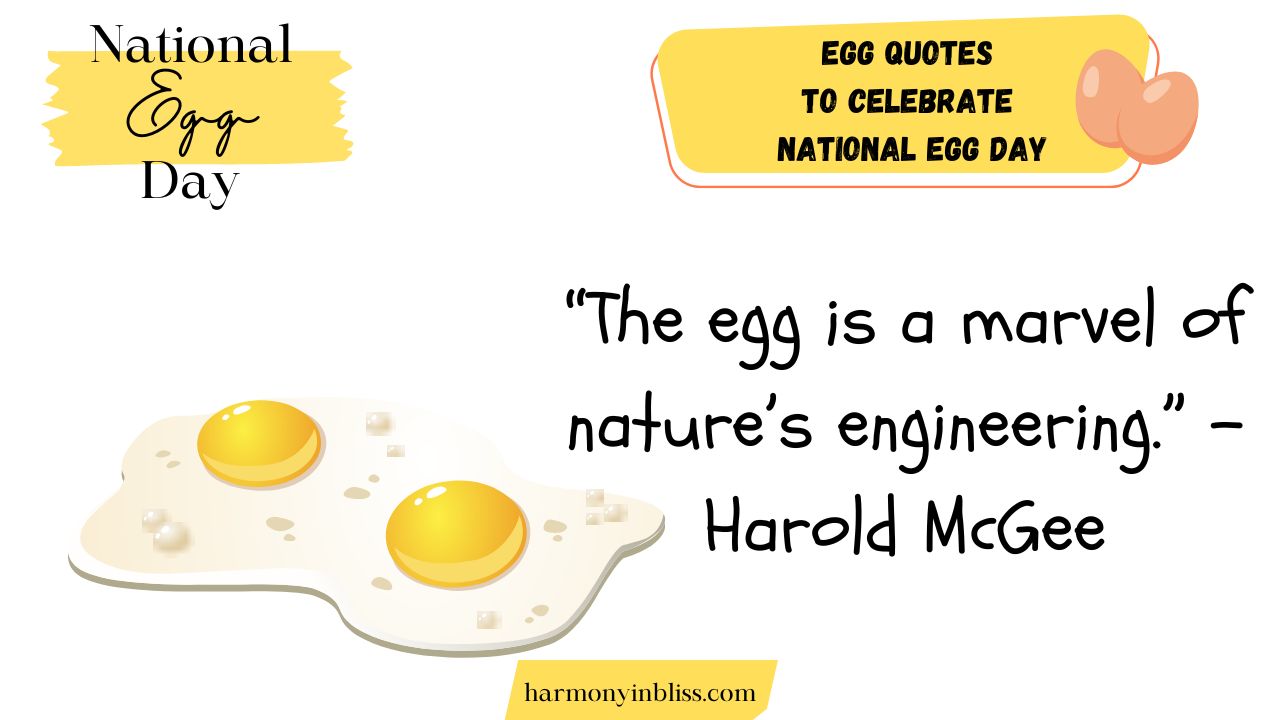 Egg Quotes to Celebrate National Egg Day