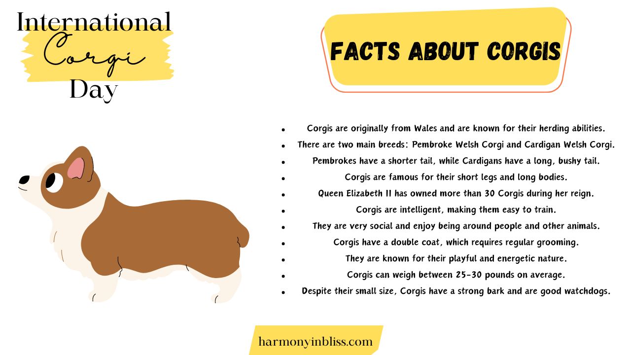 Facts About Corgis