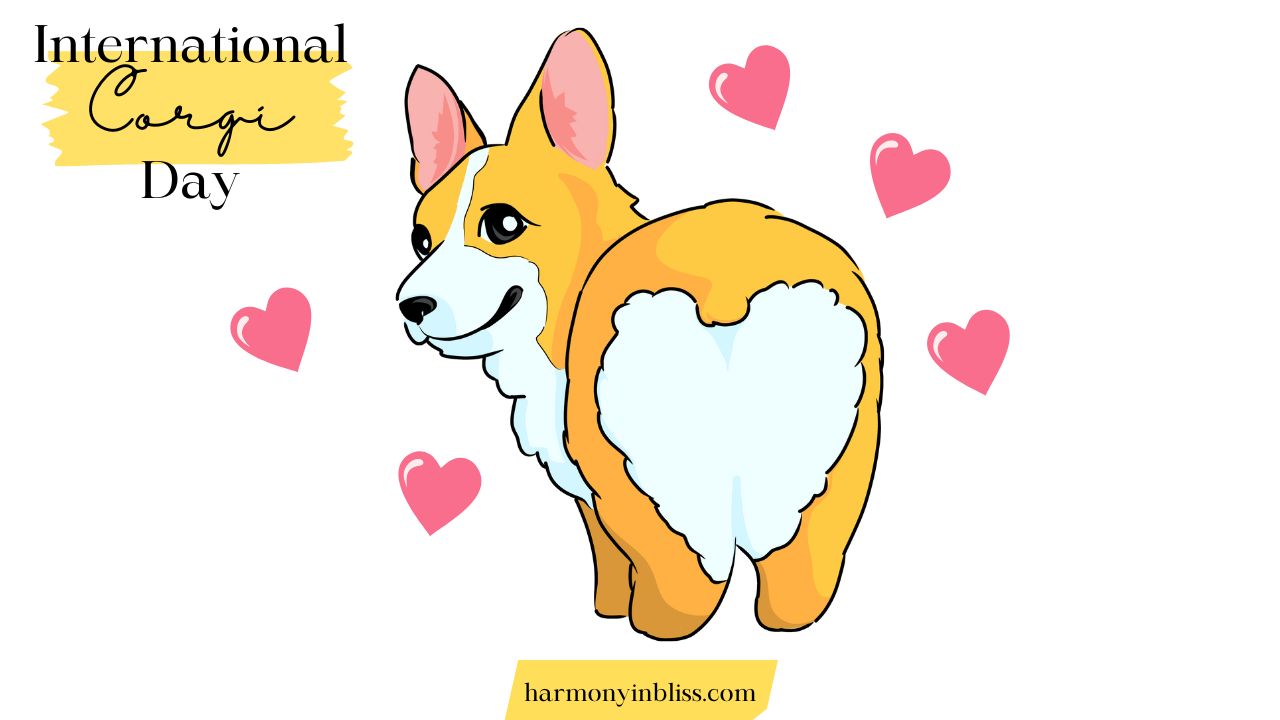 International Corgi Day