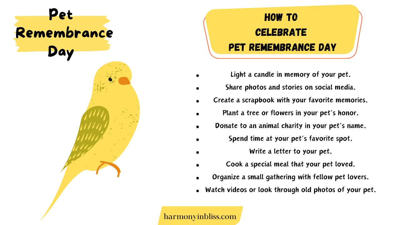 How To Celebrate Pet Remembrance Day