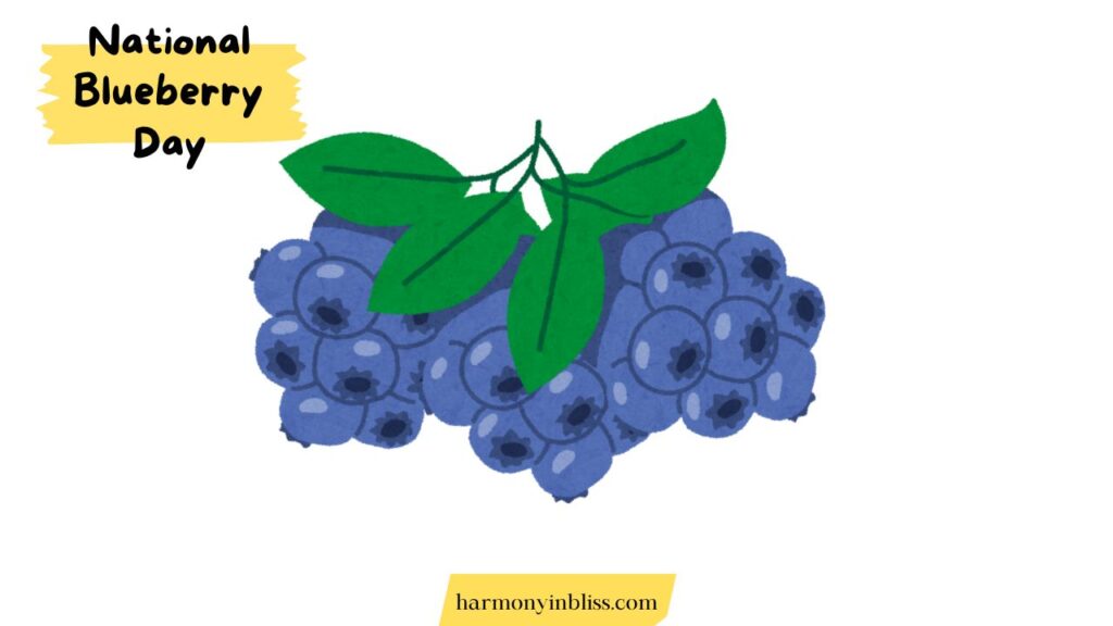 national blueberry day