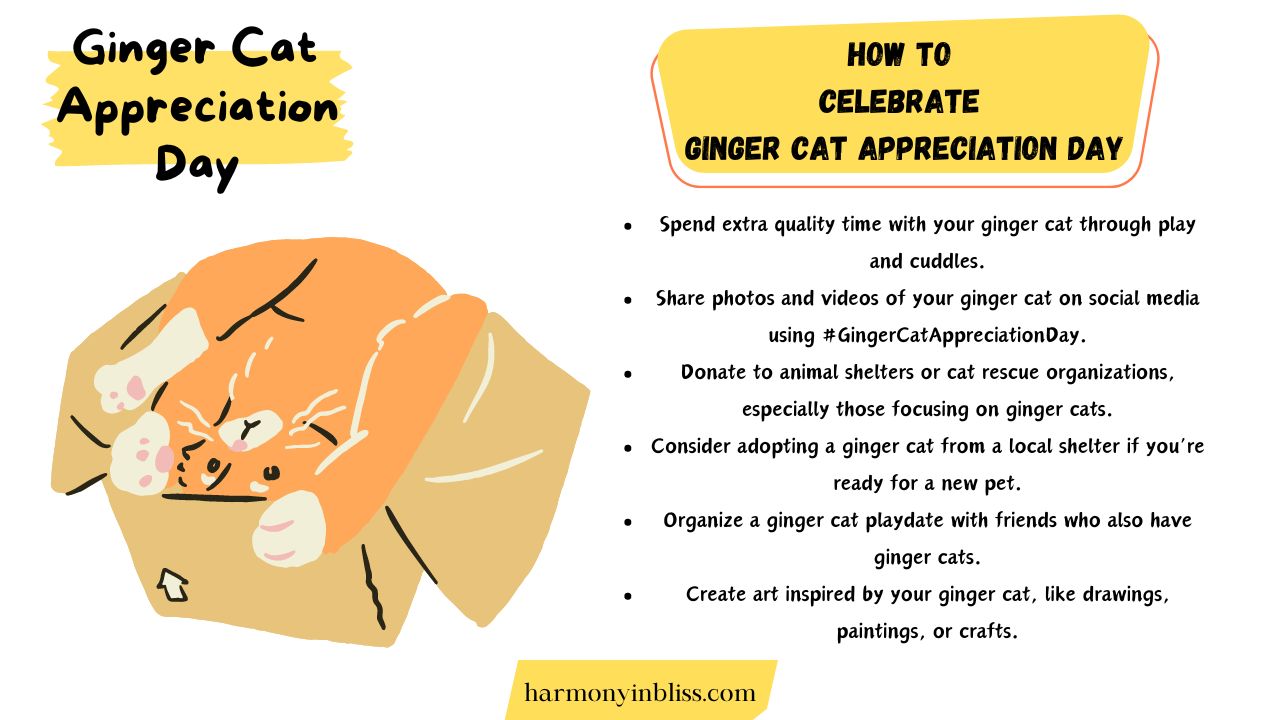 How To Celebrate Ginger Cat Appreciation Day