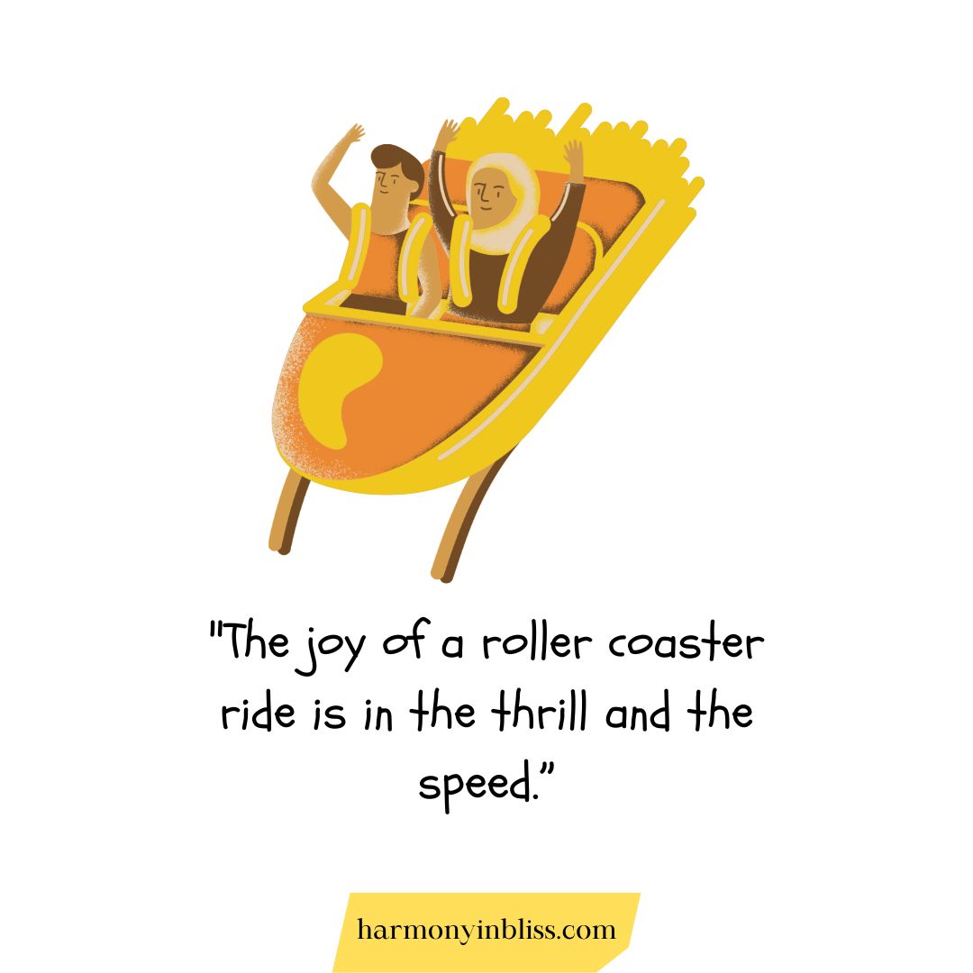 National Roller Coaster Day Quotes