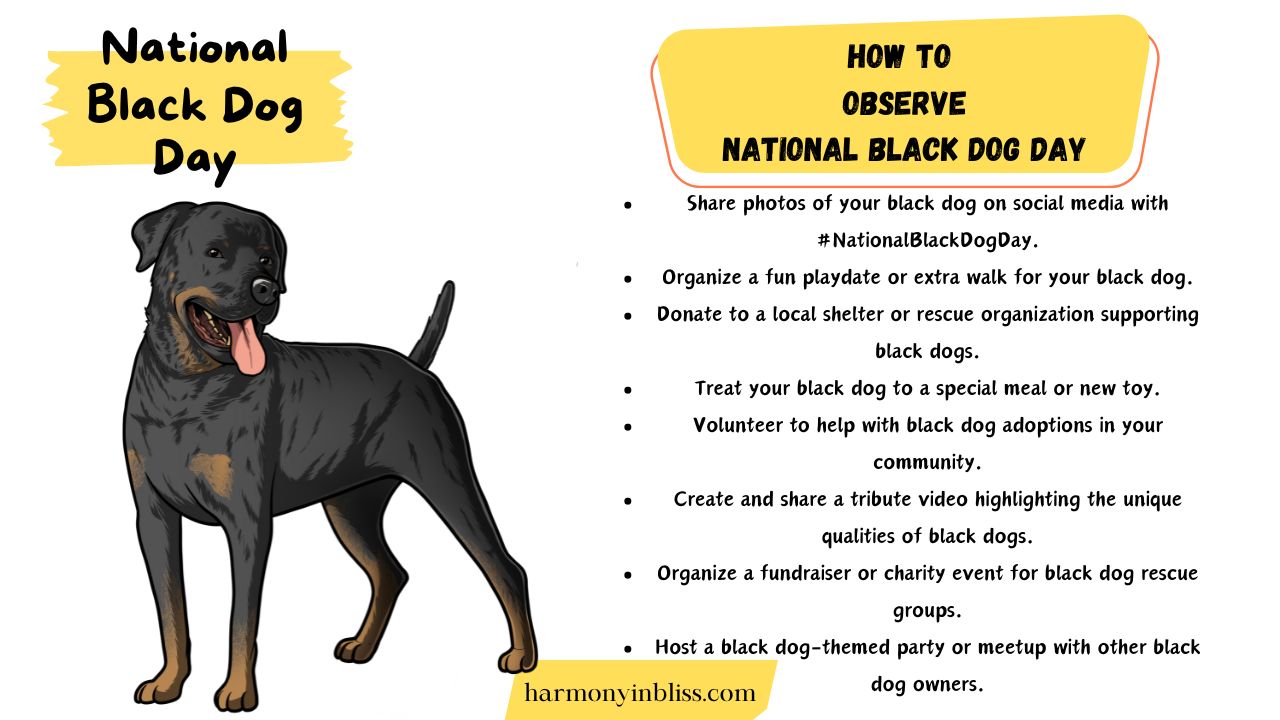 How To Celebrate National Black Dog Day