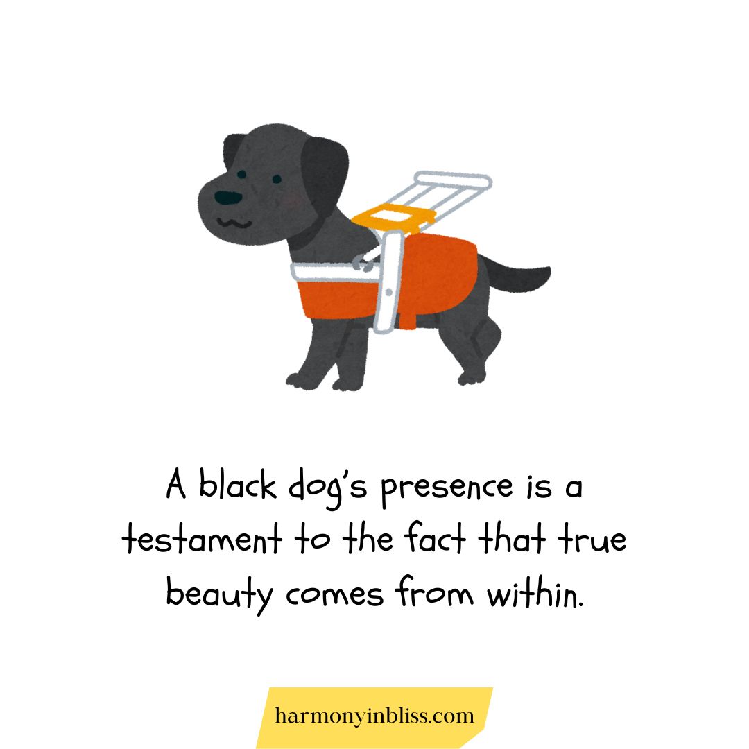 National Black Dog Day Quotes