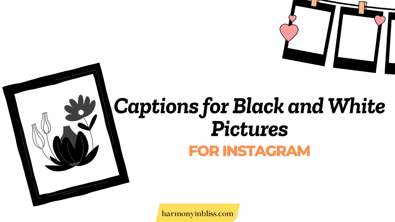 Captions for Black and White Pictures
